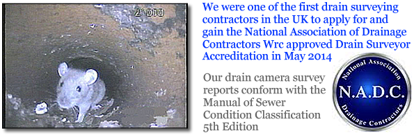 rat control drain survey